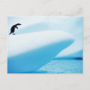 Recherche de pingouin mignon cartes postales Manchot