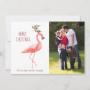 Recherche de flamant vœux cartes Drôle