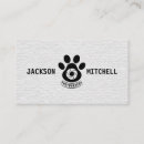 Recherche de animal familier photographie Photographie de chat