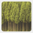 Recherche de cèdre autocollants Arbre