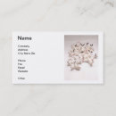 Recherche de lapin blanc cartes visite Lapins