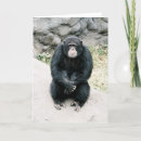 Zoek naar dierentuin kaarten Chimpansee