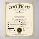 Zoek naar certificaten posters Aangepast