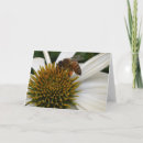 Recherche de pollen vœux cartes Miel