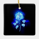 Zoek naar gas ornamenten Blauw