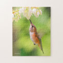 Zoek naar vliegende vogel puzzels Kolibrie