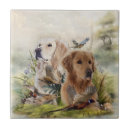 Zoek naar fazanten tegels Labrador