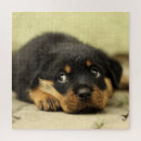 Recherche de rottweiler puzzles Nature