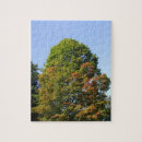 Recherche de érable puzzles Nature