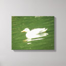 Zoek naar zwemmen kunst Vijvers