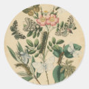 Recherche de vision autocollants Fleurs