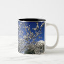 Recherche de dc washington tasses Monument