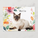 Recherche de siamois chat vœux cartes Mignon