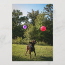 Recherche de laboratoire invitations Chien