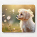 Recherche de cavaliers tapis souris Nature