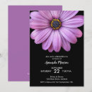 Recherche de marguerites pourpres Fleur violette