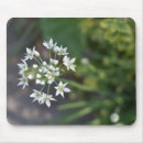 Recherche de délicieux électronique Floral