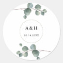 Recherche de eucalyptus autocollants Feuillage