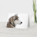 Zoek naar alaskan malamute kaarten Sneeuw