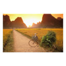 Zoek naar landweg posters Berg
