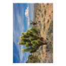 Recherche de arbre de joshua Paysage
