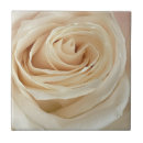 Zoek naar rose tegels Thuisdecor