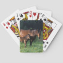 Recherche de pur sang jeux de cartes Équestre