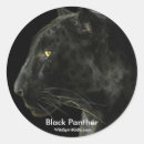 Recherche de jaguar en autocollants Gros chats