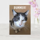 Recherche de noir et blanc chat vœux cartes Drôle