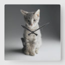 Recherche de animal familier horloges Gris
