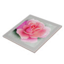 Recherche de décor de salle à manger carreaux Rose