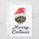 Zoek naar kwaadsprekerij posters Chistmas cat