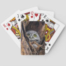 Zoek naar baby uilen speelkaarten Bossen