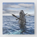 Recherche de espoir horloges Bleu