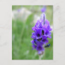 Recherche de paysage nature cartes postales Photographie
