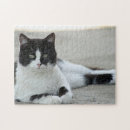 Recherche de chat smoking puzzles Félin
