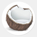 Recherche de noix de coco autocollants Fruit