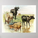 Recherche de vache vintage art Classique
