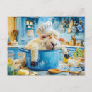 Recherche de casseroles cartes postales Cuisinier