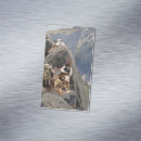 Recherche de guerriers cartes visite Amérindien