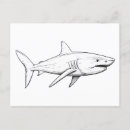 Recherche de requin cartes postales Dessin