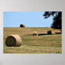 Recherche de foin posters Récolte