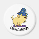 Recherche de magicien magnets Abracadabra