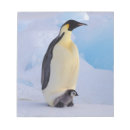 Recherche de loup blocsnotes Pingouin