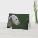 Recherche de boxeur vœux cartes Chien
