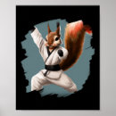 Zoek naar zwarte band posters Karate