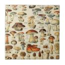 Recherche de champignons carreaux Vintage