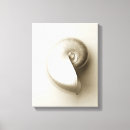 Recherche de perle impressions sur toile Coquillage