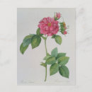 Recherche de 1817 cartes postales Pierre
