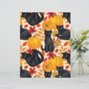 Recherche de chat noir et citrouille Halloween